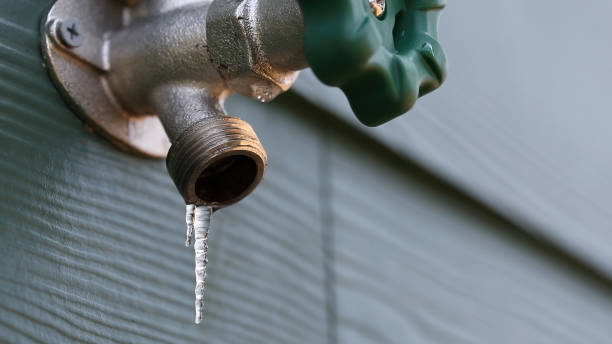 Best Plumbing Services Near Me  in Boyceville, WI